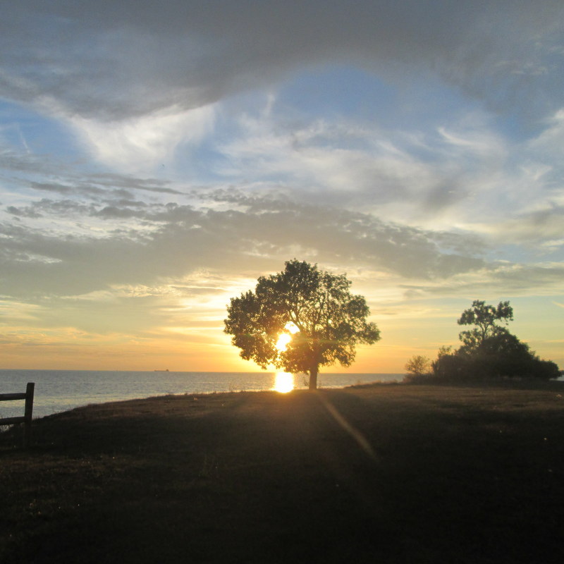 The Need for Financial Education in Schools